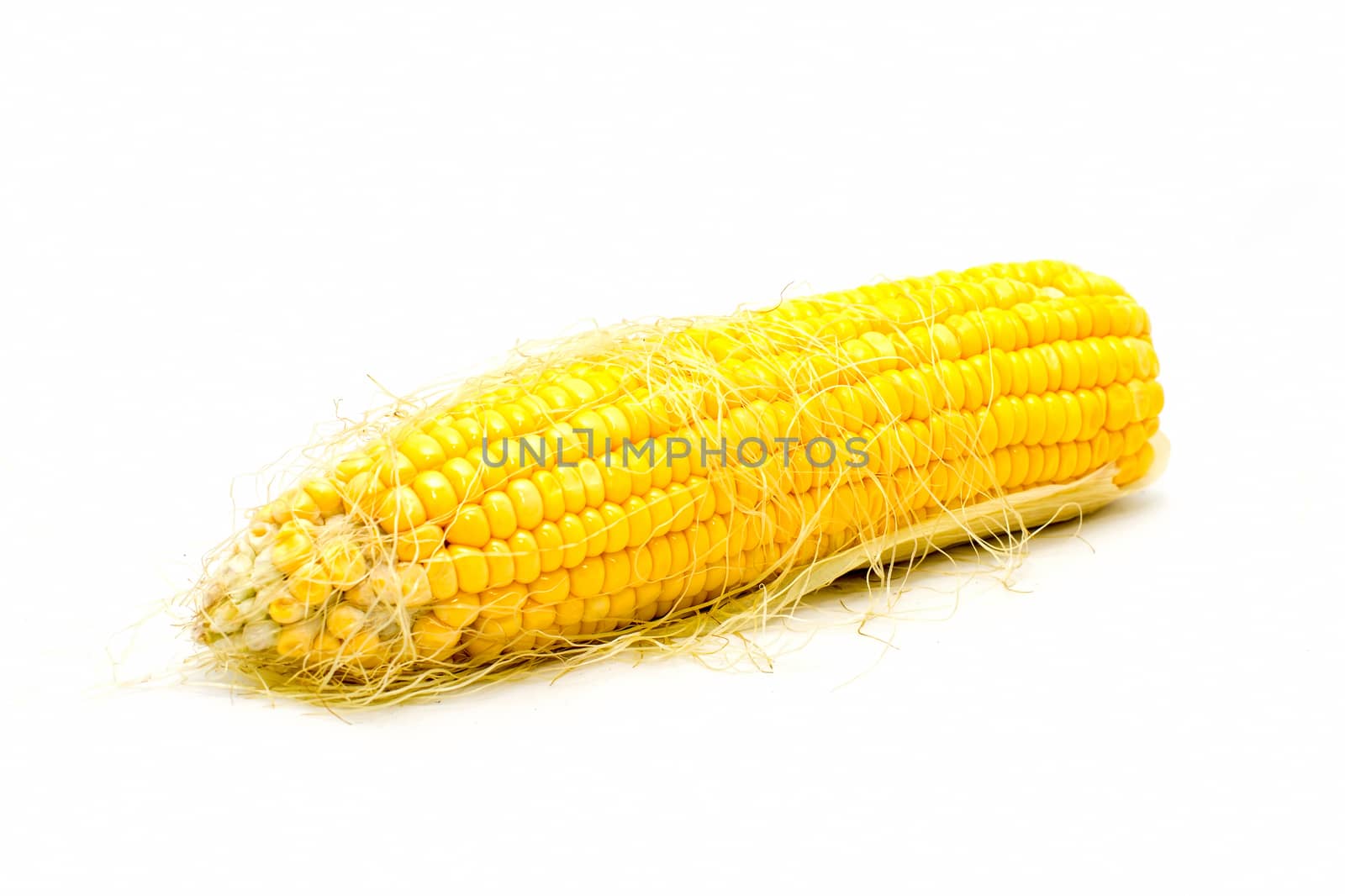 Boiled corn on white background