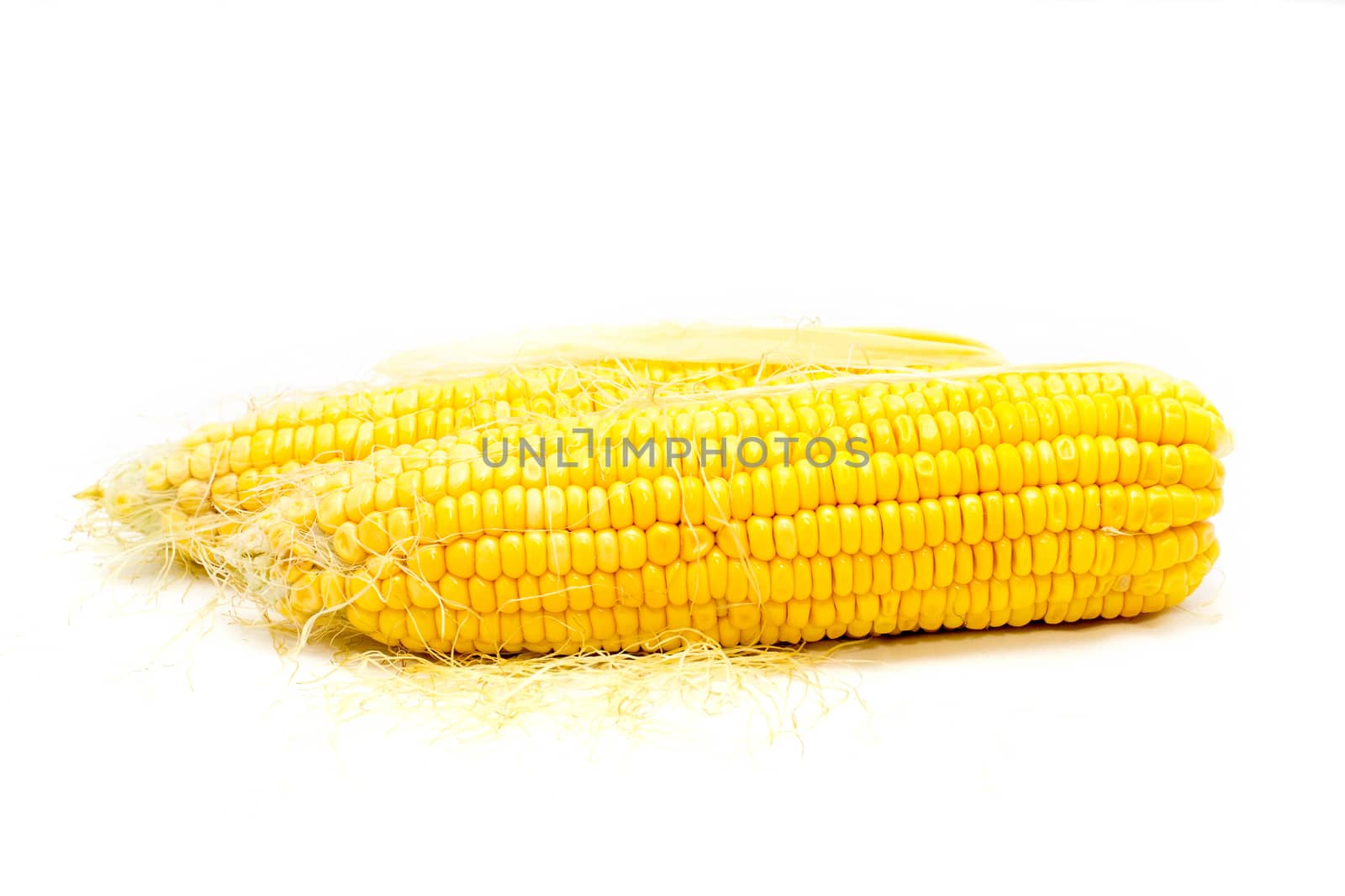 Boiled corn on white background by Yuri2012