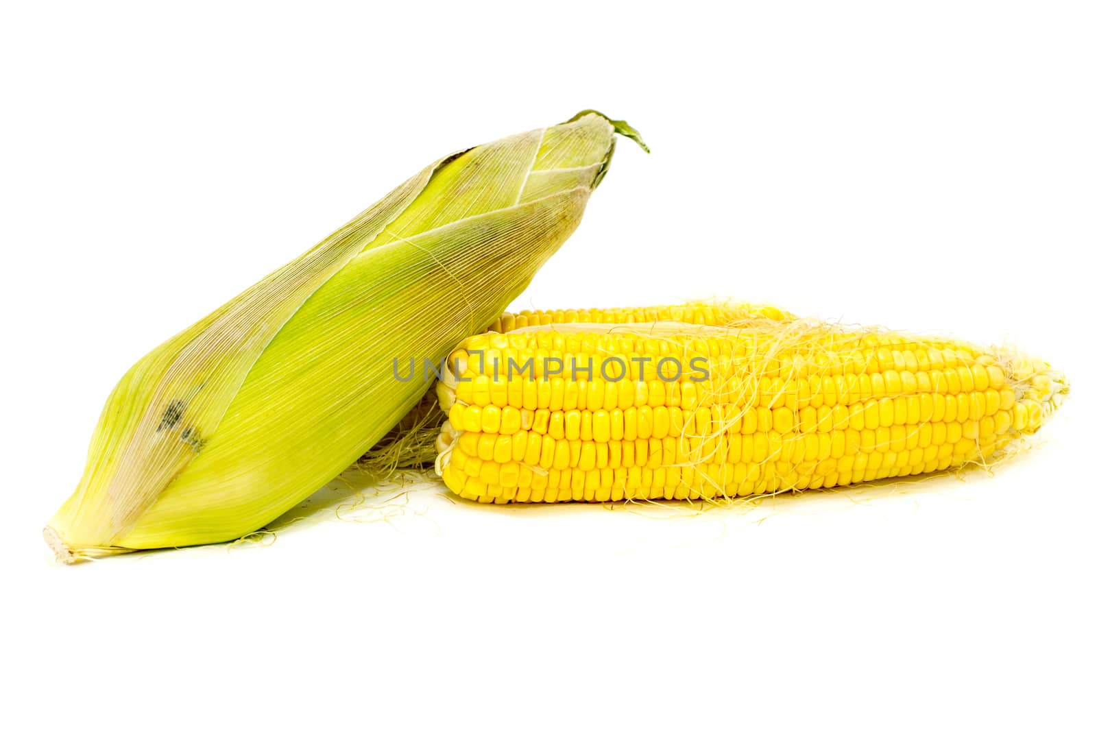 Boiled corn on white background