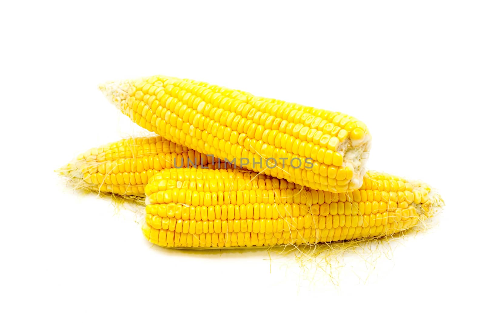 Boiled corn on white background