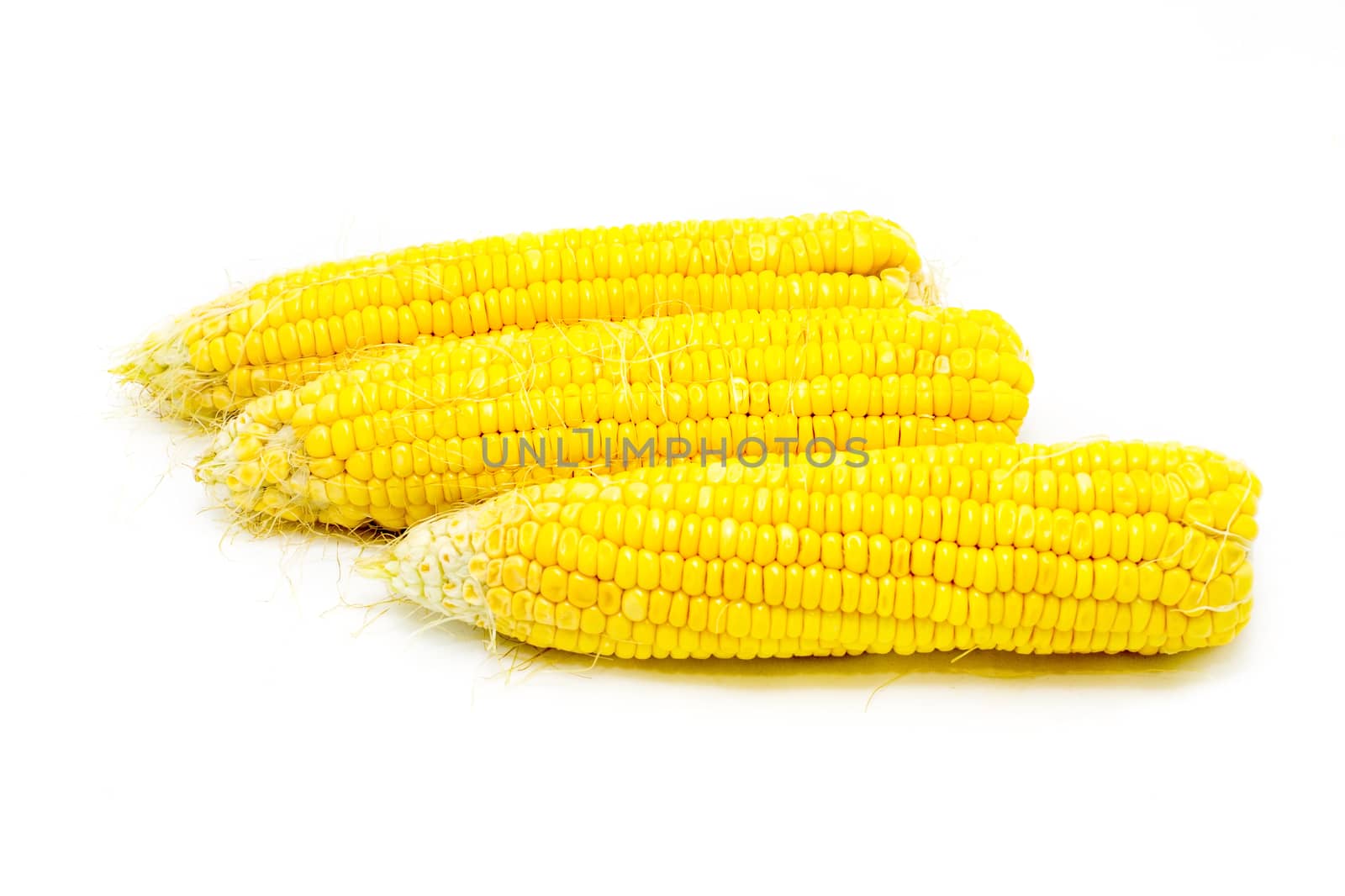 Boiled corn on white background