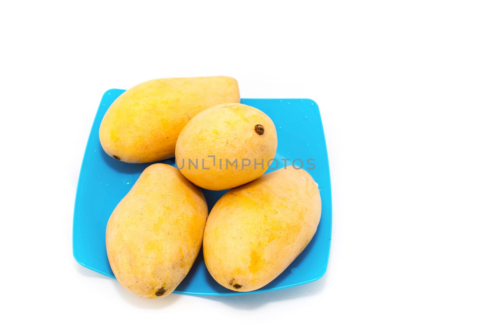 mango fruit isolated on white background,Thai fruit