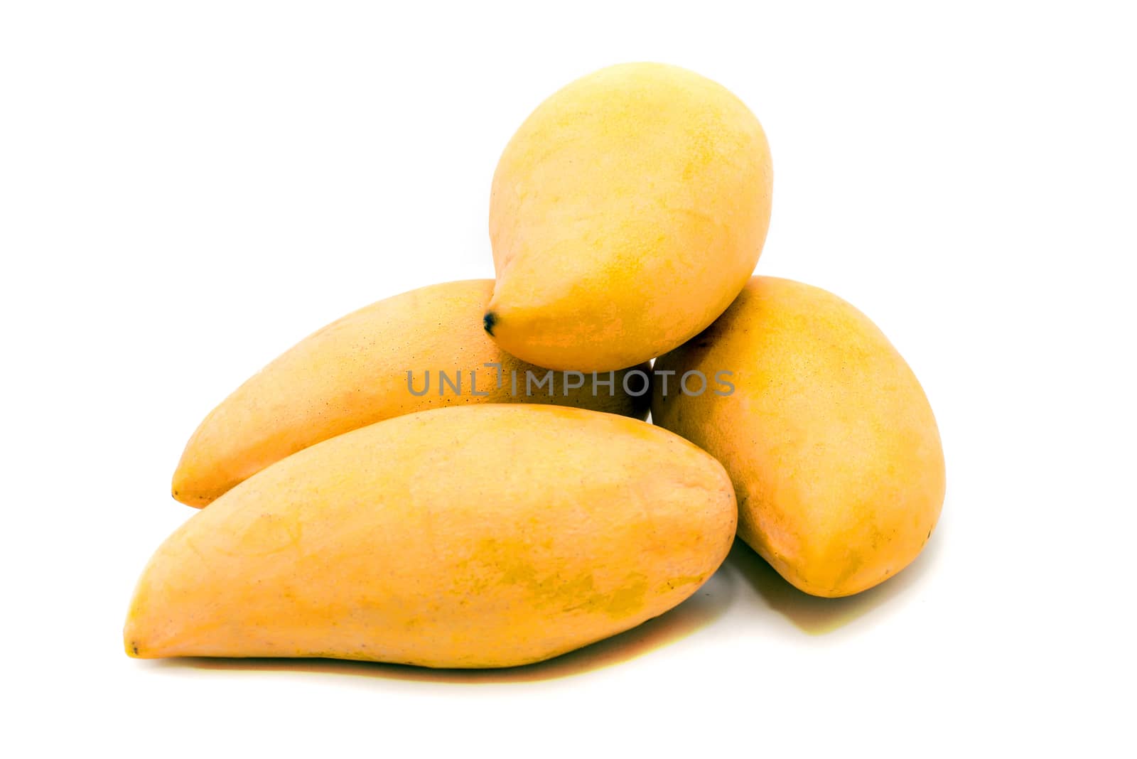 mango fruit isolated on white background,Thai fruit