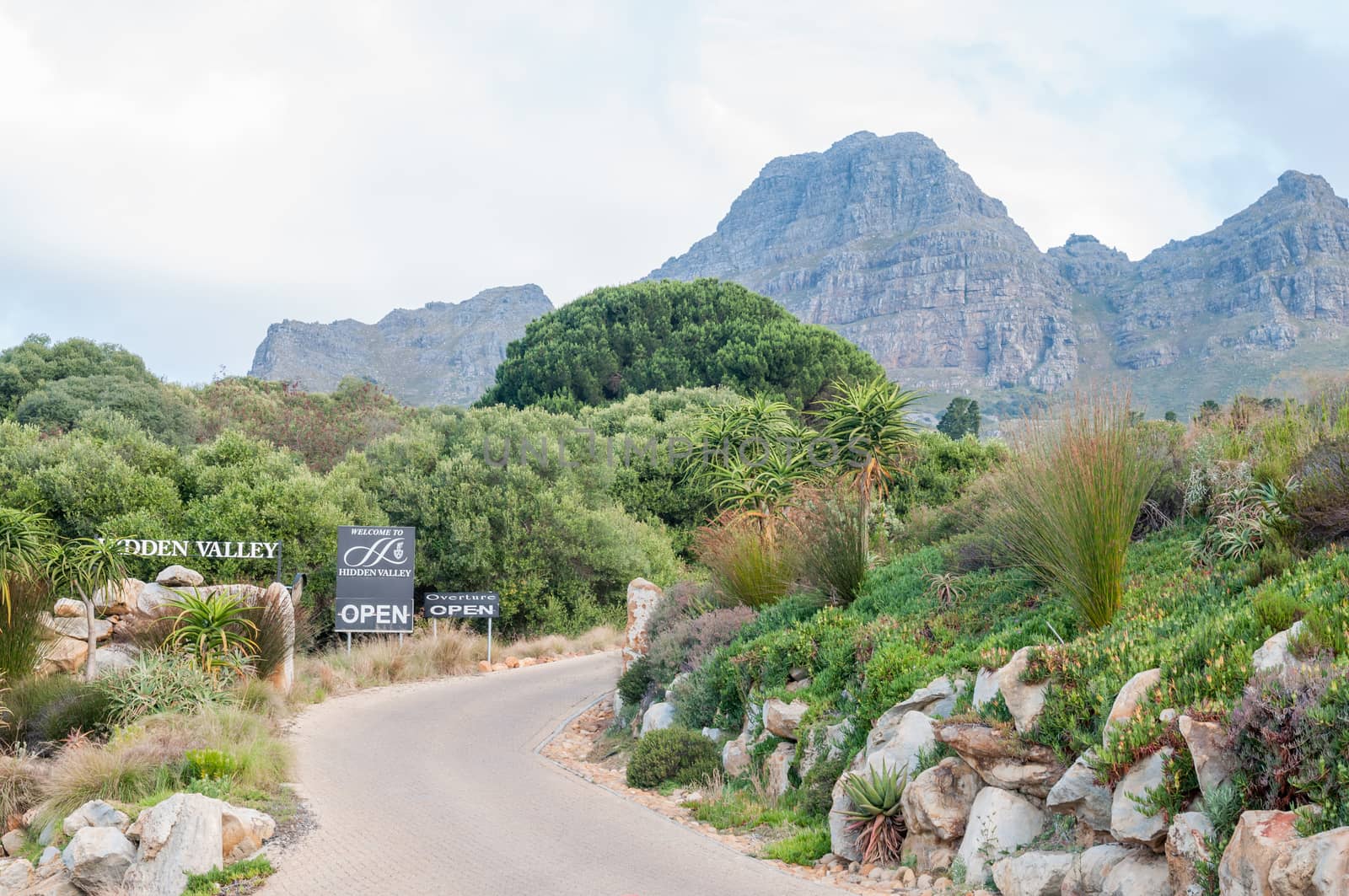 STELLENBOSCH, SOUTH AFRICA - DECEMBER 21, 2014: View of the farm Hidden Valley with the Helderberg (Clear Mountain) in the back
