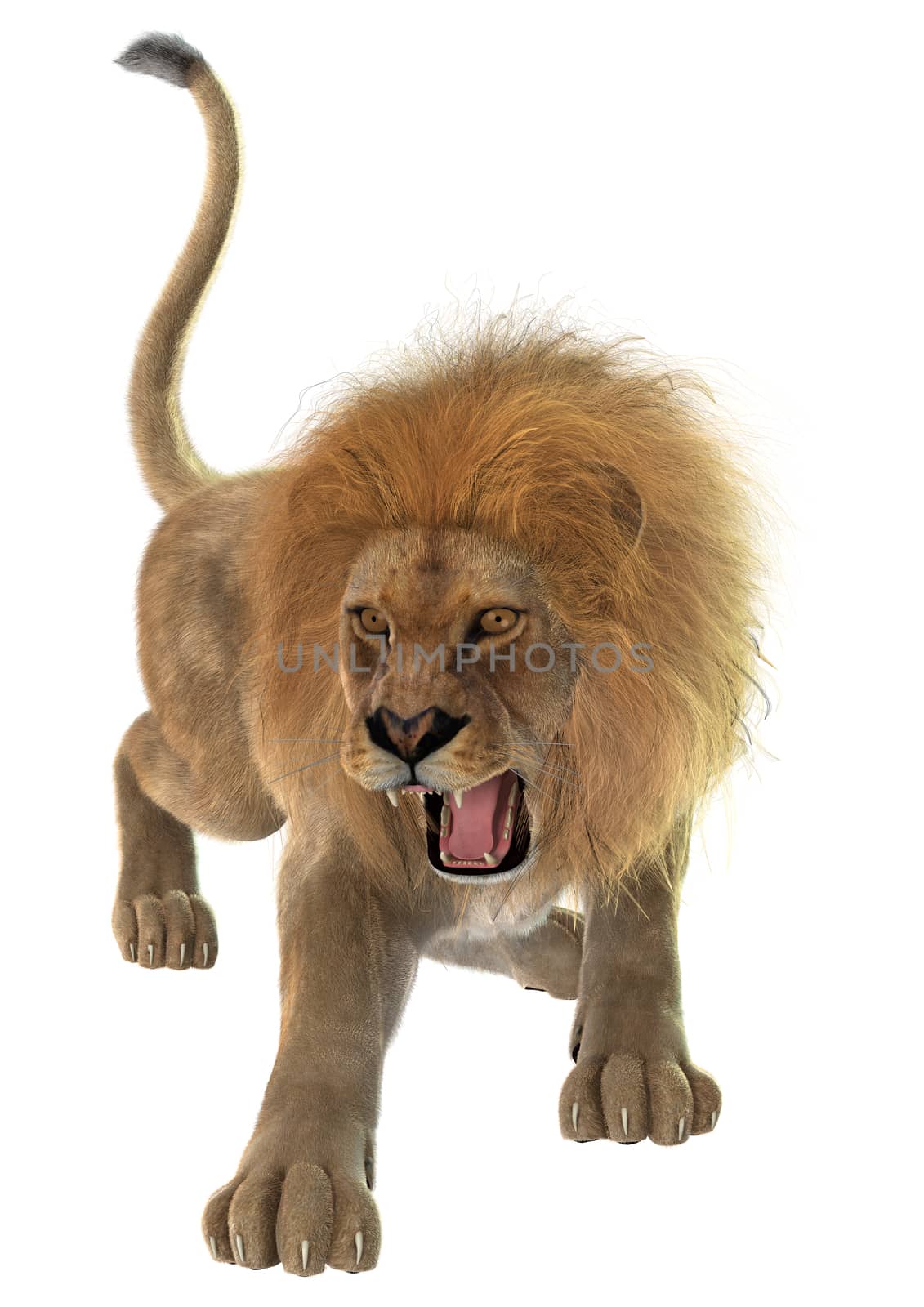 3D digital render of a male lion isolated on white background
