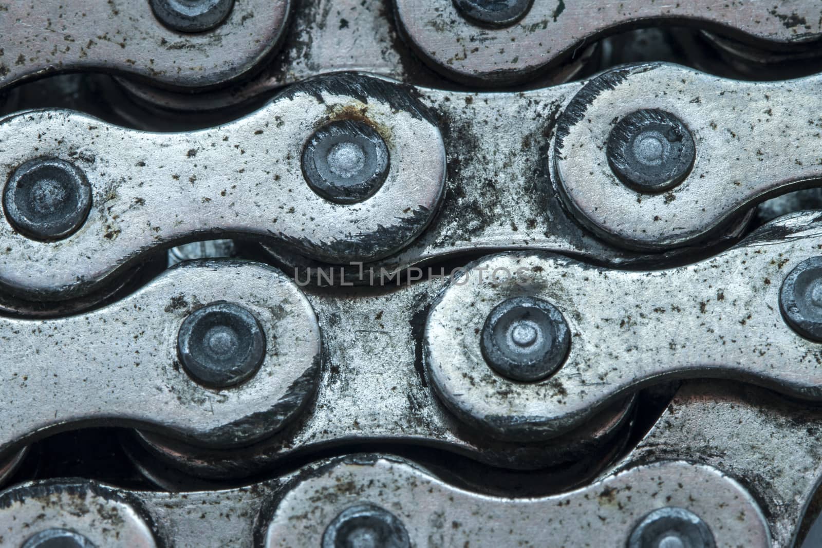 bicycle chain by Chechotkin