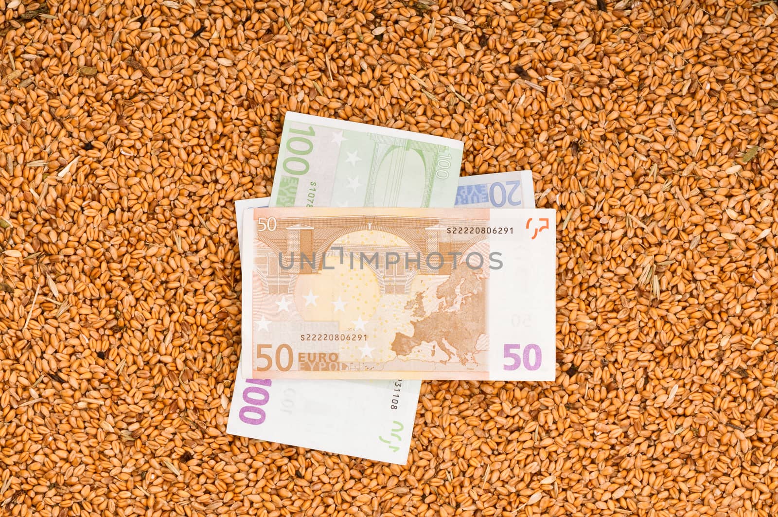 Monetary crop as a symbol of success of sale of a new crop of wheat