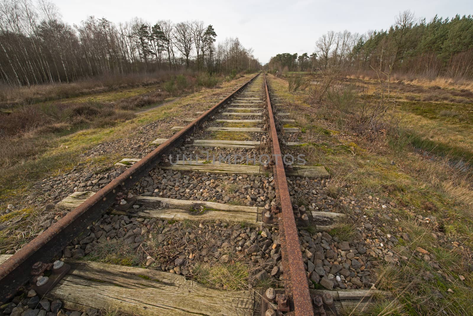 Old railway line "Borkense Course" in the Netherlands by Tofotografie