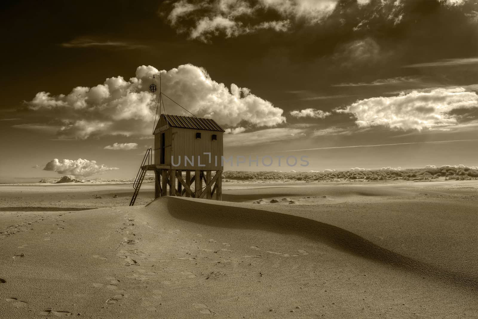 Beach hut on the island of Terschelling in the Netherlands by Tofotografie