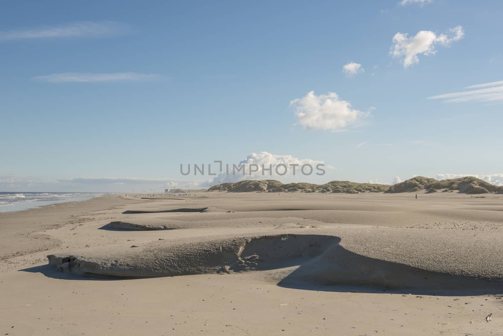 Beach on the island of Terschelling in the Netherlands by Tofotografie