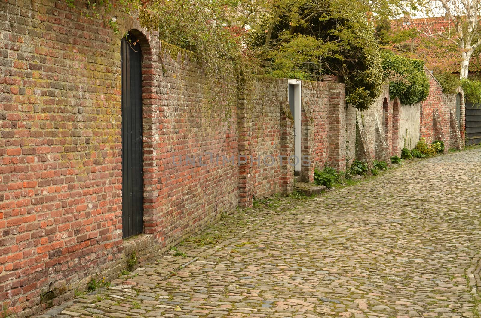 Characteristic medieval lane in the city of Veere in the Netherlands by Tofotografie