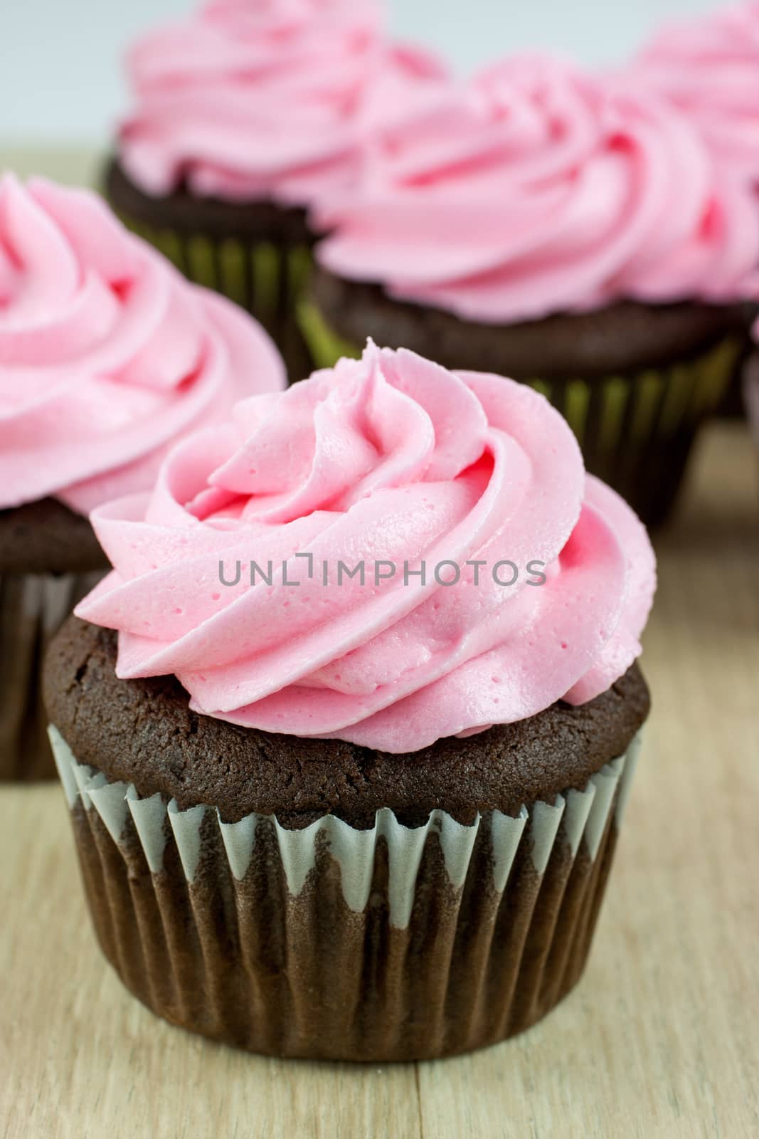 Chocolate Cupcakes with pink icing by SouthernLightStudios