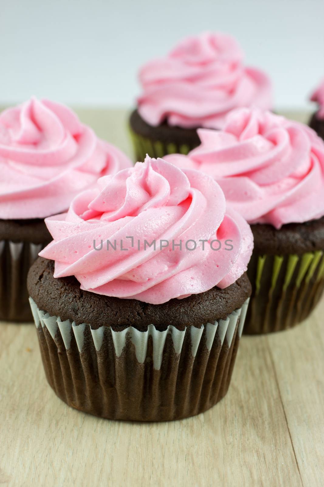 Chocolate Cupcakes with pink icing by SouthernLightStudios