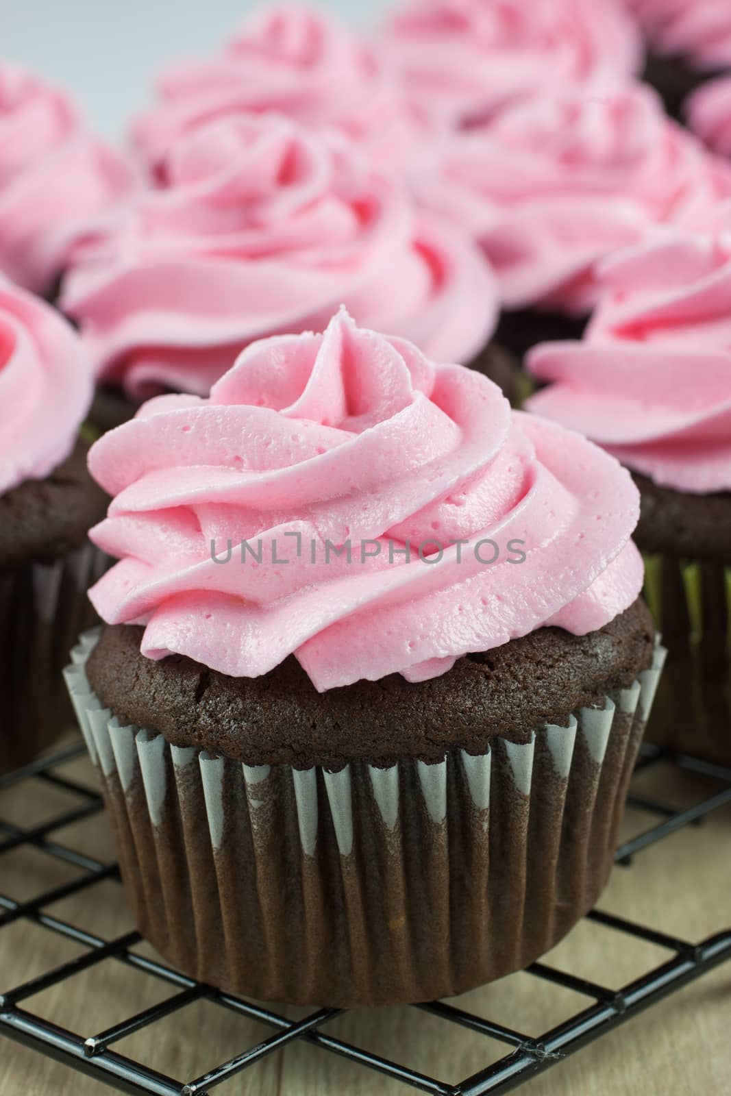 Chocolate Cupcakes with pink icing by SouthernLightStudios