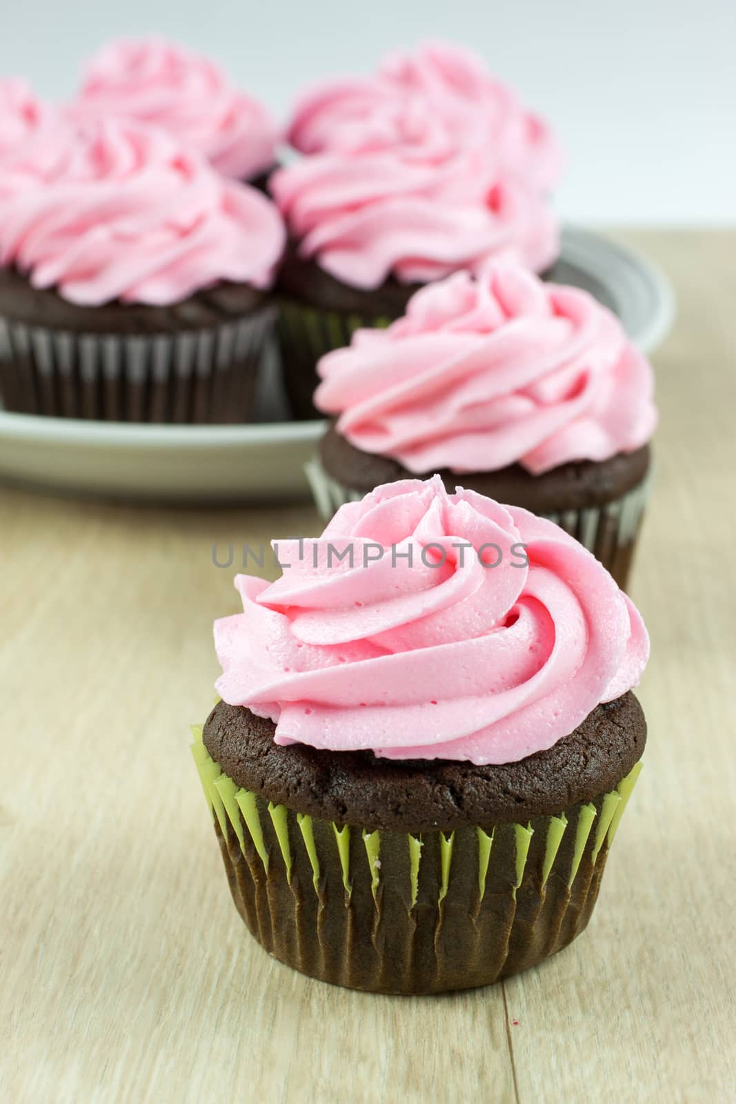Chocolate Cupcakes with pink icing by SouthernLightStudios