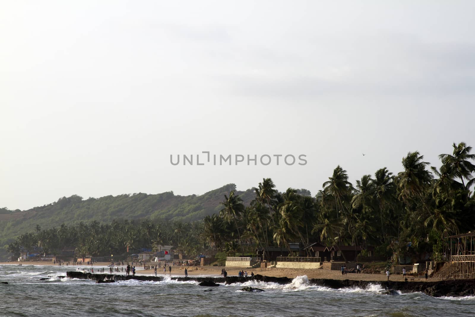 GOA India Beach, beautiful with palm trees by mcherevan