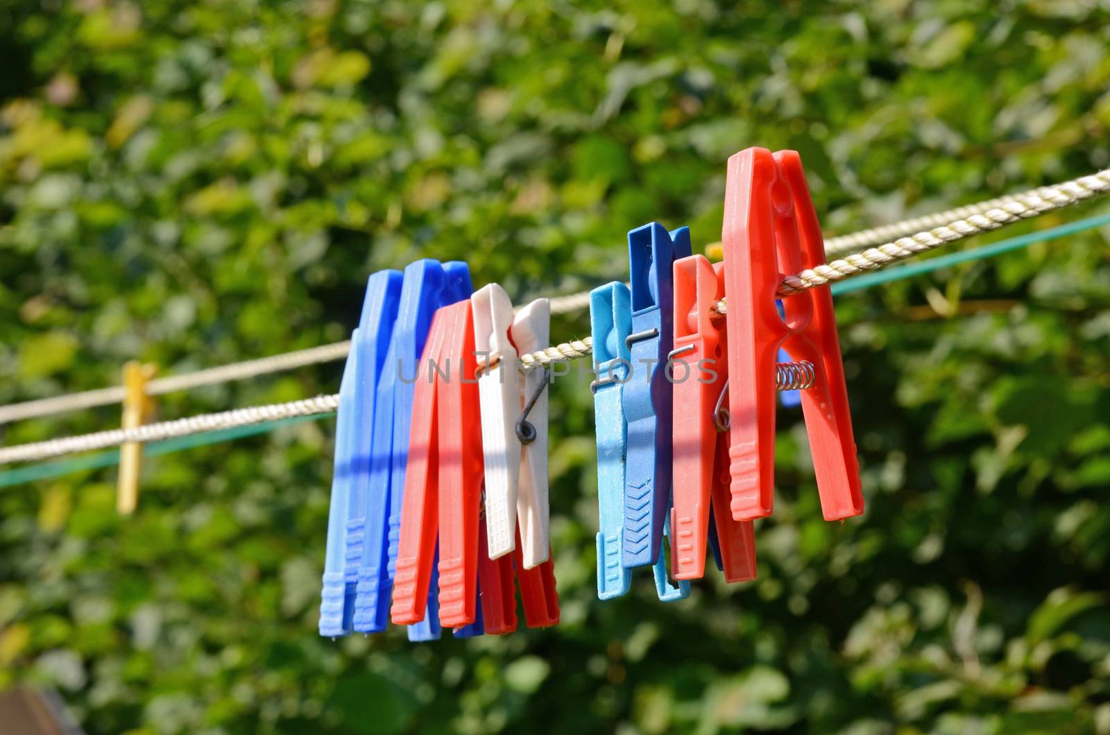 clothes pegs, laundry pins by sarkao