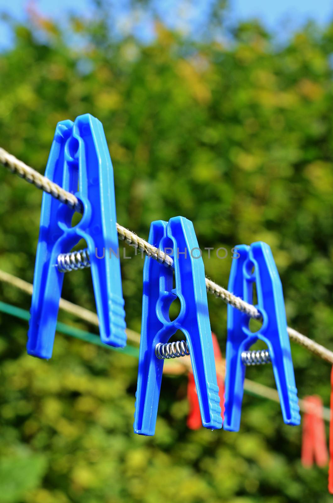 clothes pegs, laundry pins by sarkao
