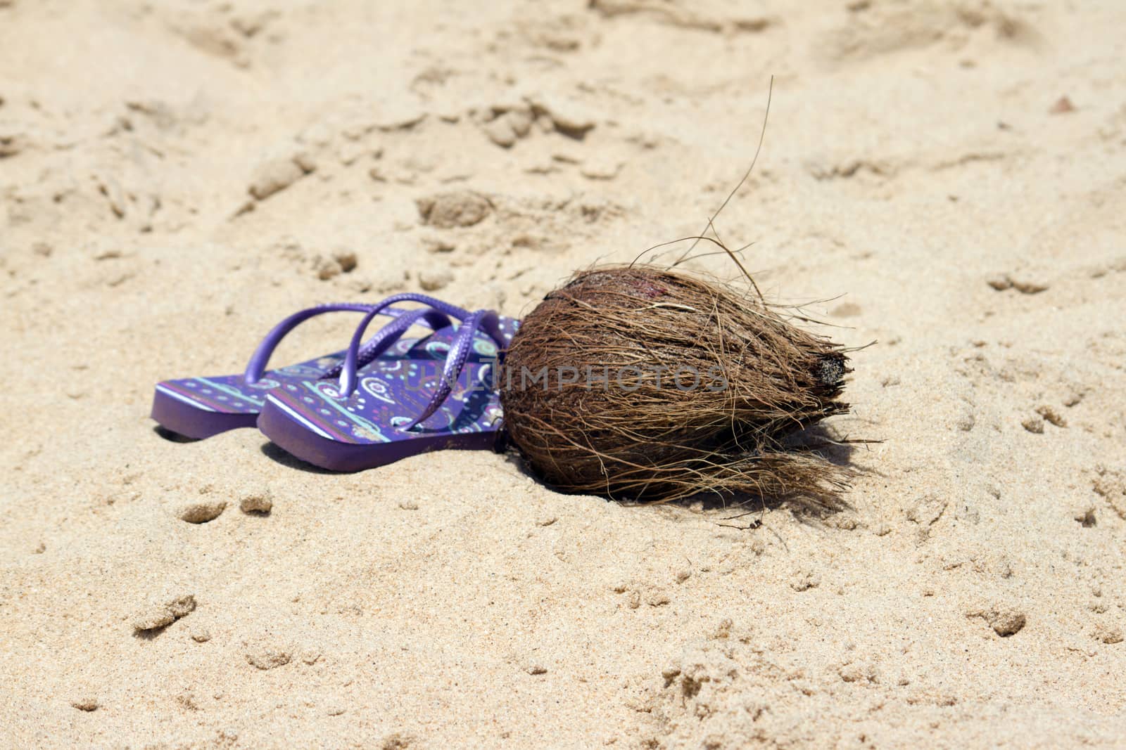 Flip-flop and coconut on a beautiful beach. India Goa by mcherevan