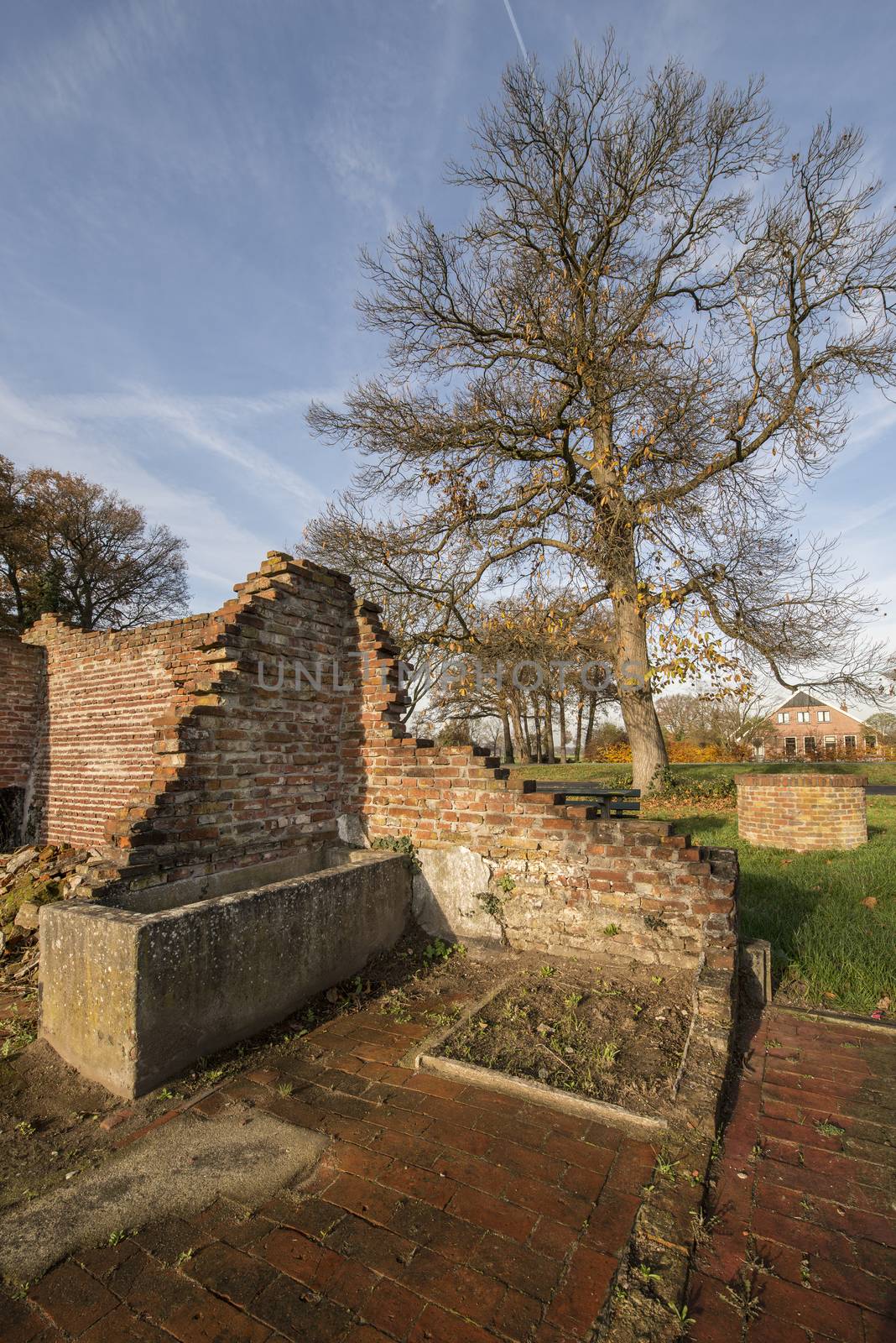 Remains of a farm in Winterswijk in the east of the Netherlands
In the East of the Netherlands were originally many agricultural companies. Many of these farms have now been converted into houses. Some are still in original condition. A small number has expired, such as this farm in the hamlet called Miste at Winterswijk in the East of the Netherlands. This region is called the Achterhoek.