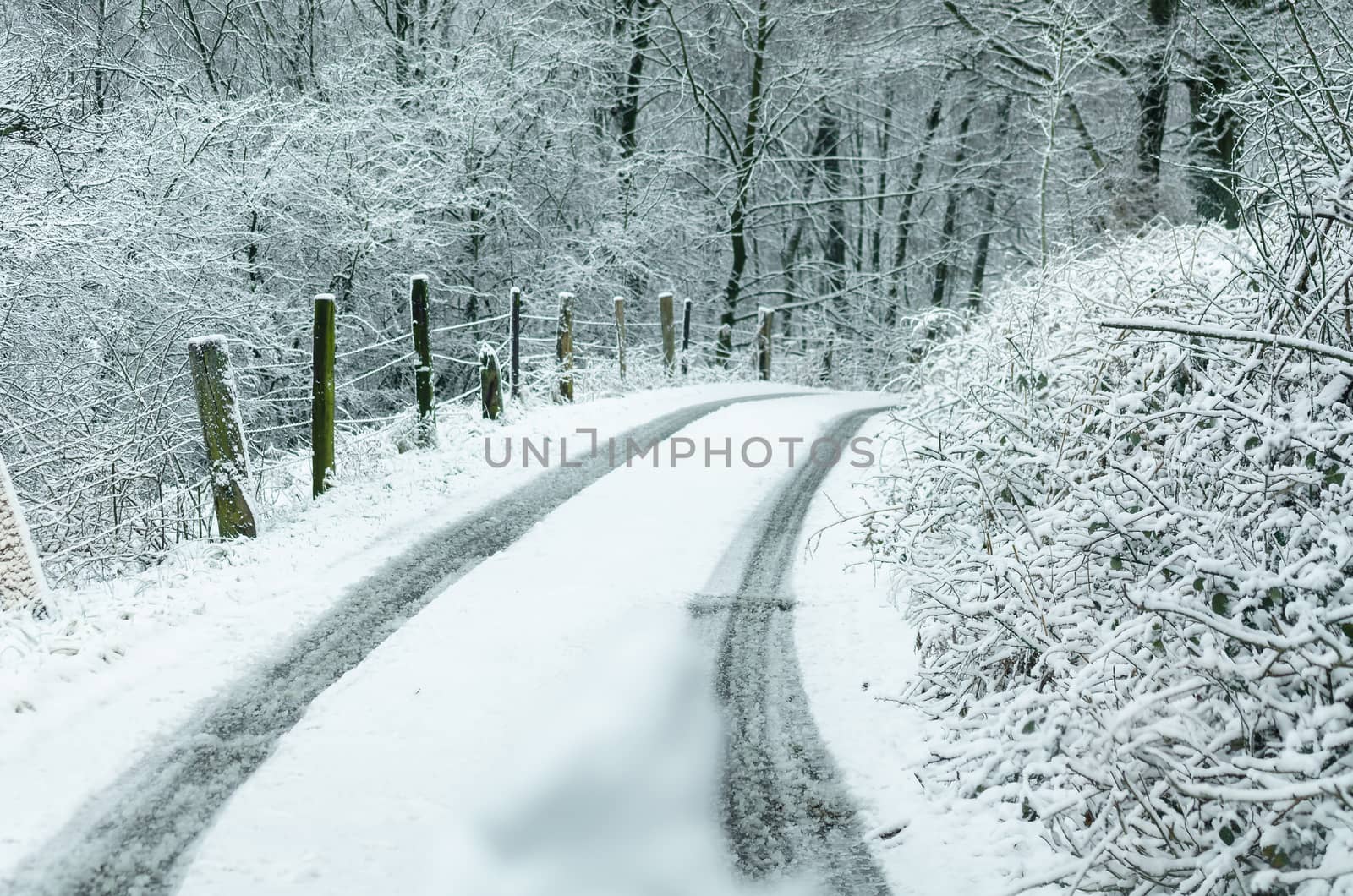 Road in Winter by JFsPic