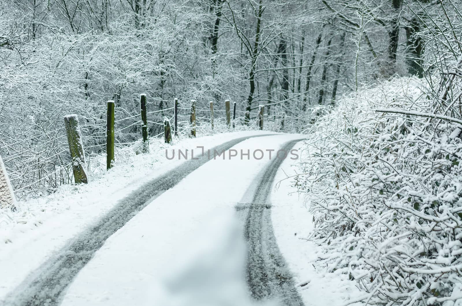 Country Road after snowfall. In the middle  a fresh vehicle lane.