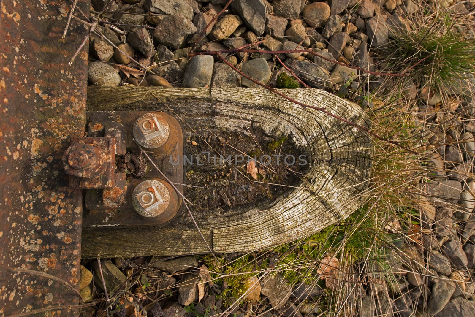 Old railway line "Borkense Course" in the Netherlands by Tofotografie