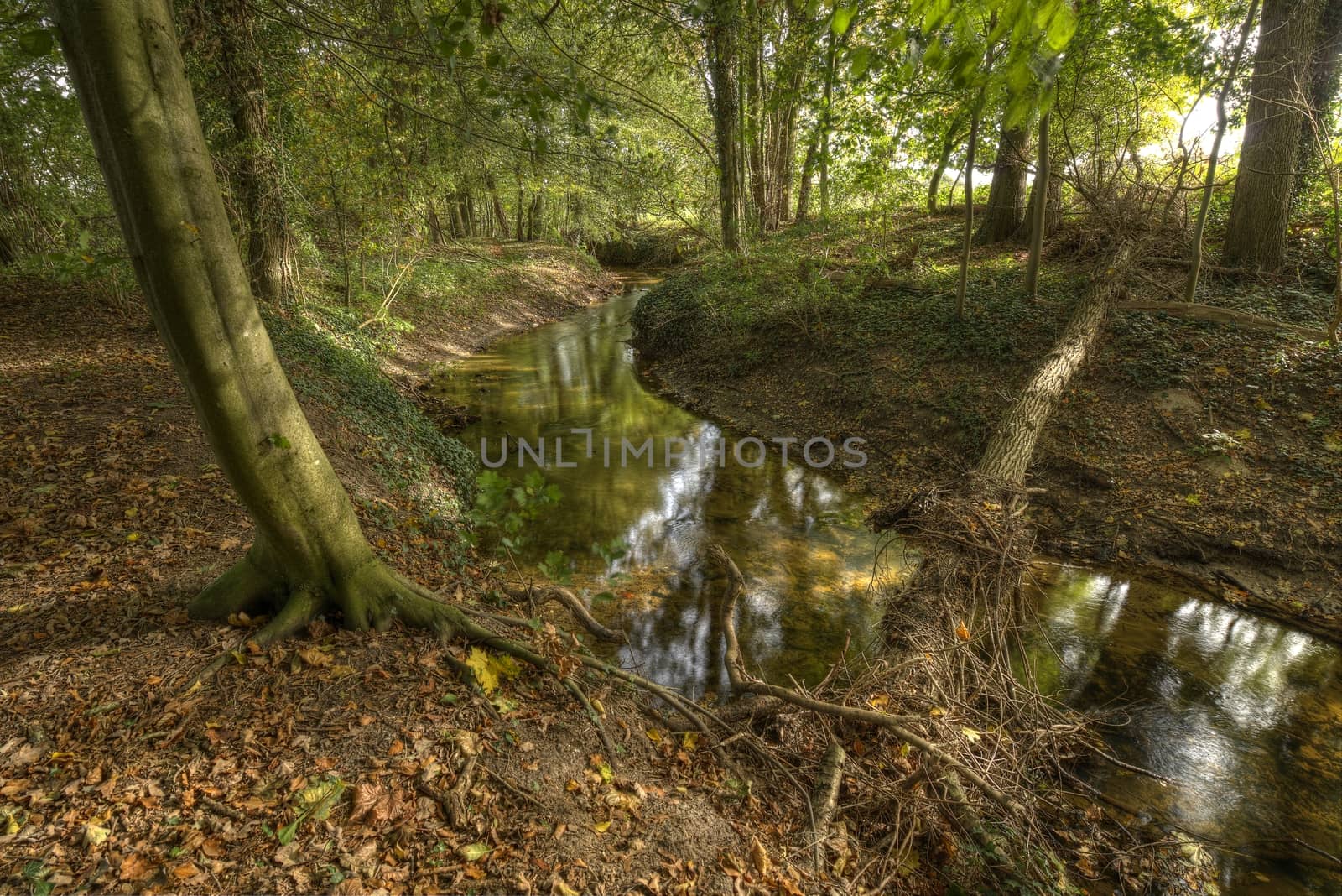 Protected Brook near Winterswijk in the East of the Netherlands in the fall. Brook called "Boven-Slinge" nearby the German border.