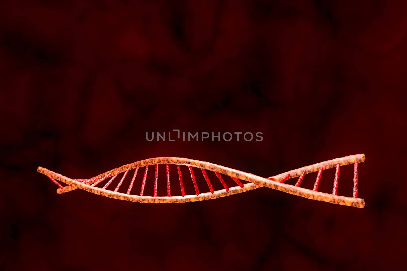 The model of human DNA (3d-model). Abstract dark red background.
