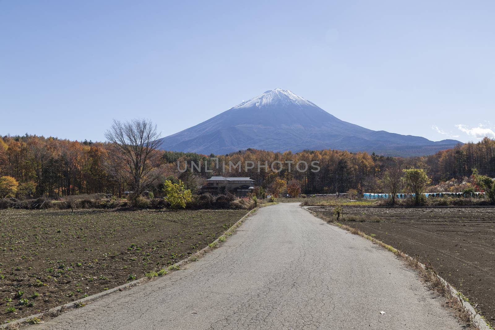 This photo was shot from the area around Mt.Fuji in Autumn. It is time to start snow cap on the top of Mt.Fuji. There are 5 lake around Mt.Fuji.