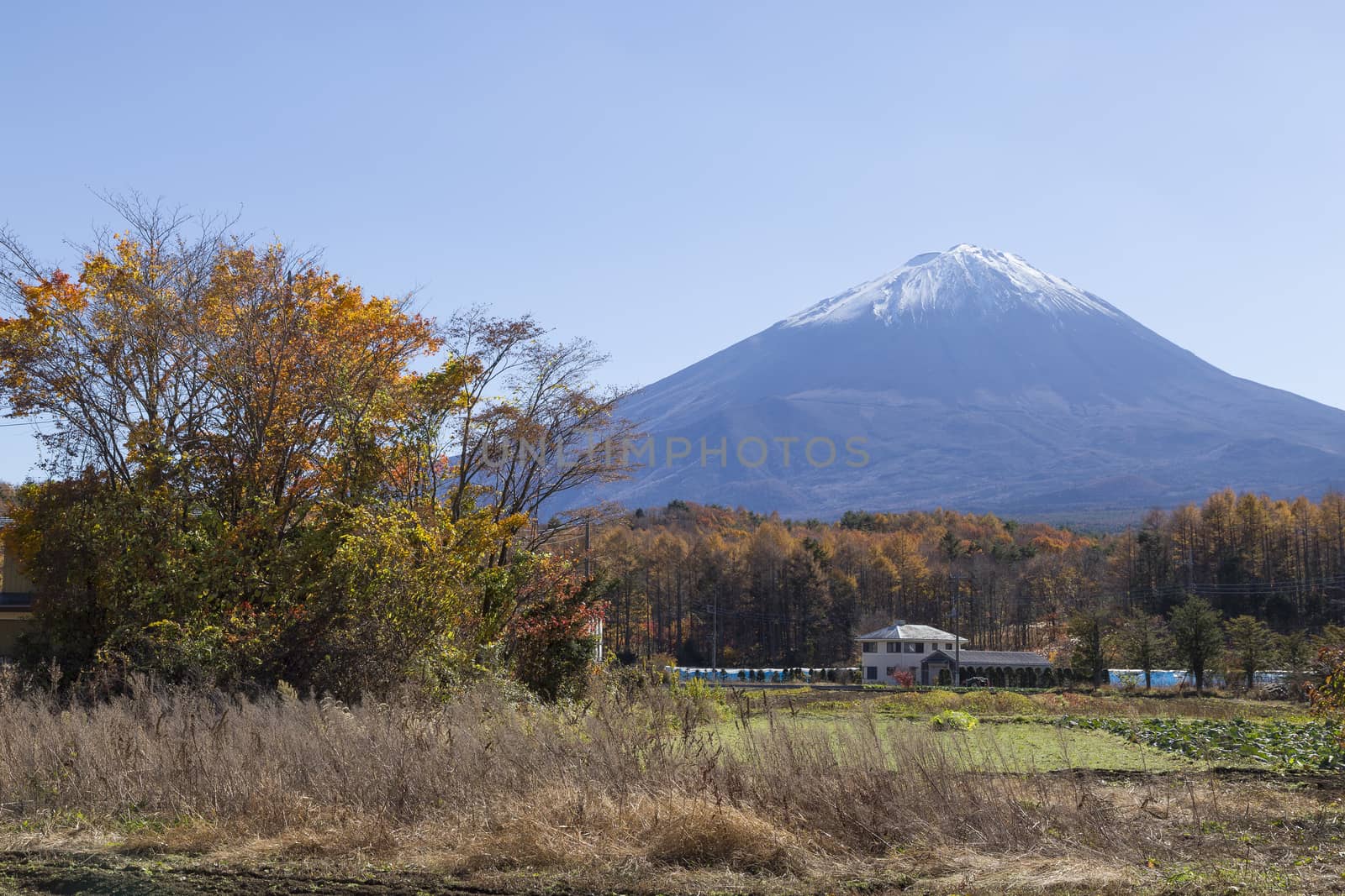 This photo was shot from the area around Mt.Fuji in Autumn. It is time to start snow cap on the top of Mt.Fuji. There are 5 lake around Mt.Fuji.