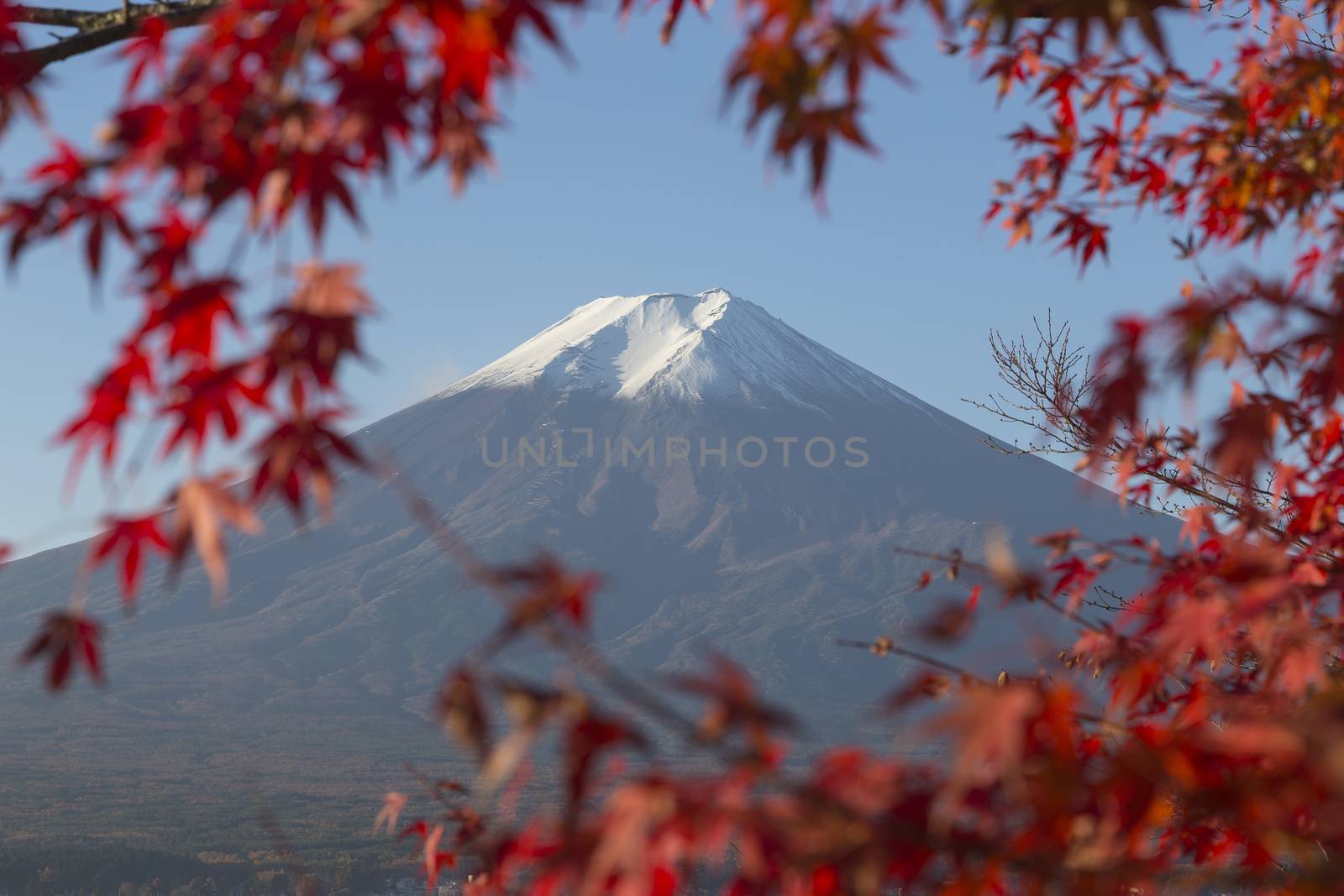 This photo was shot from the area around Mt.Fuji in Autumn. It is time to start snow cap on the top of Mt.Fuji. There are 5 lake around Mt.Fuji.