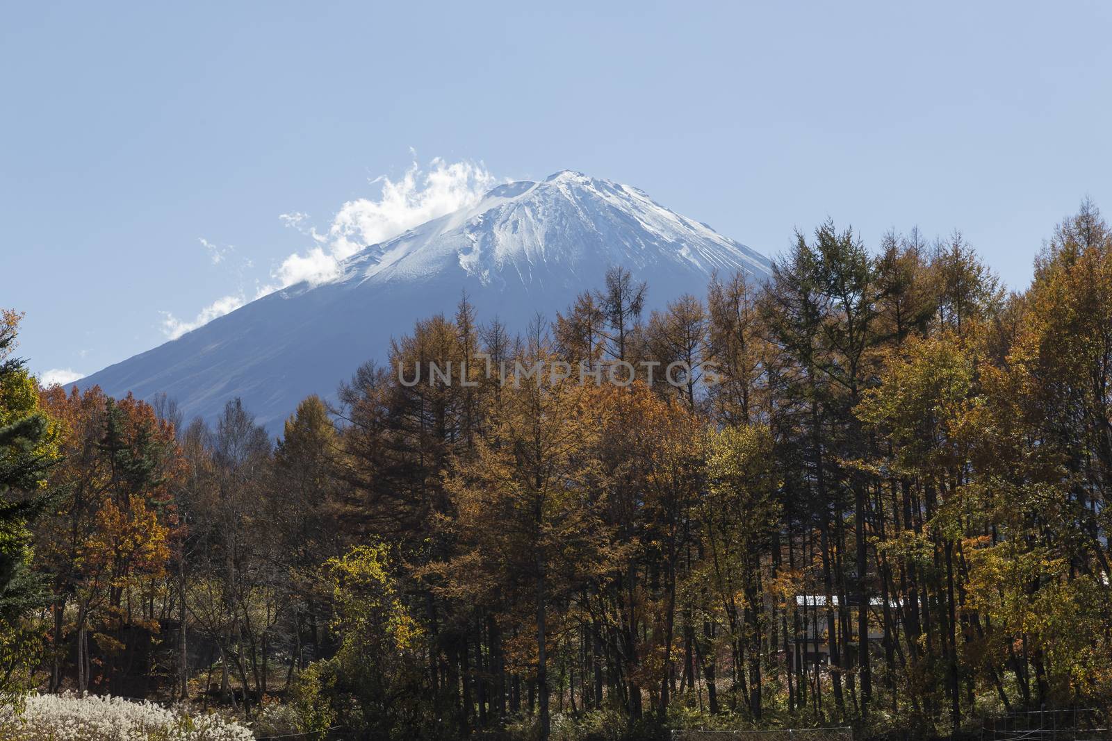 This photo was shot from the area around Mt.Fuji in Autumn. It is time to start snow cap on the top of Mt.Fuji. There are 5 lake around Mt.Fuji.