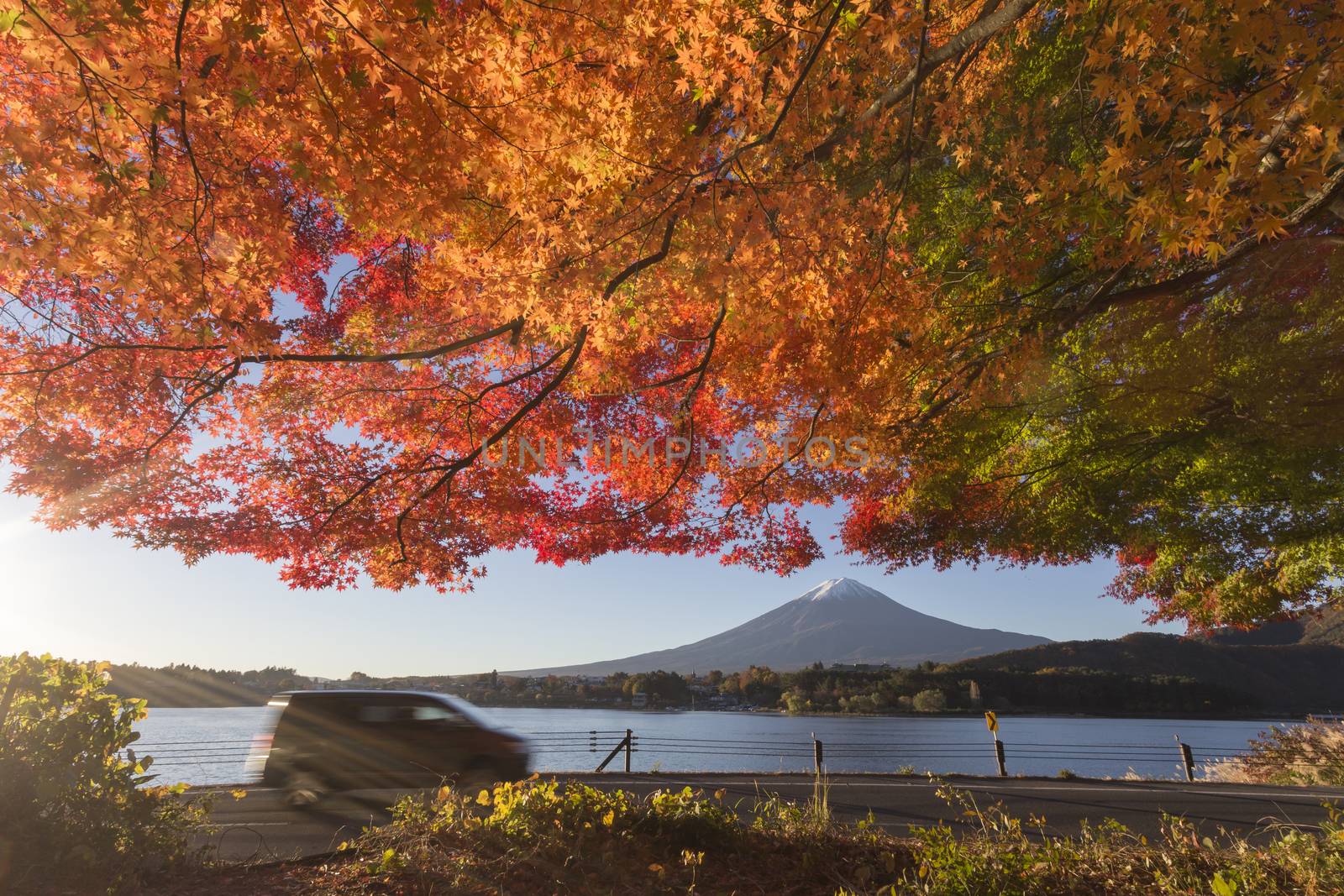 This photo was shot from the area around Mt.Fuji in Autumn. It is time to start snow cap on the top of Mt.Fuji and maple leaves change to autumn color. There are 5 lakes around Mt.Fuji.