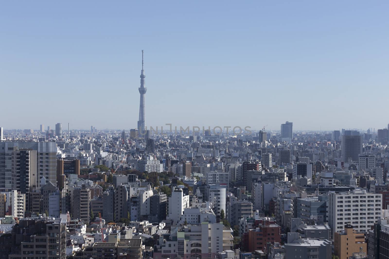 This photo was shot from Tokyo city which is the capital city of Japan. Tokyo is one of the big and busy city in the world but aslo the most beautiful. The japanese also nice.