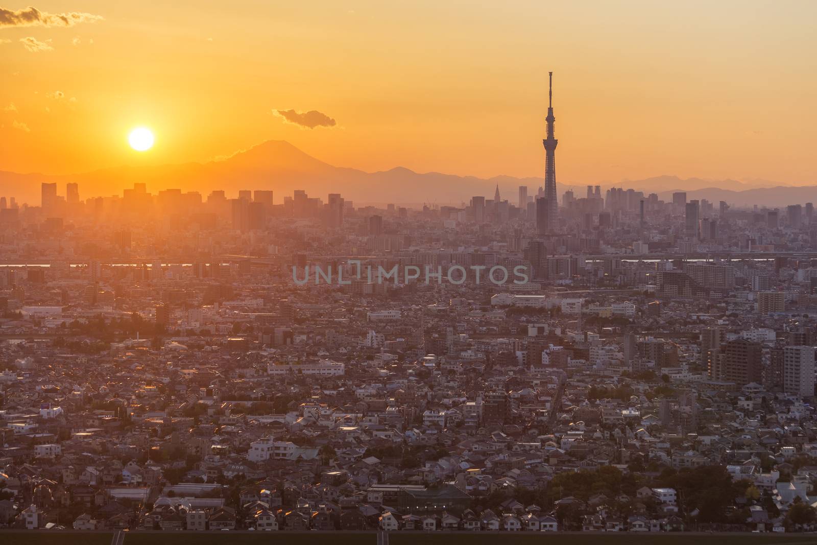 This photo was shot from Tokyo city which is the capital city of Japan. Tokyo is one of the big and busy city in the world but aslo the most beautiful. The japanese also nice.