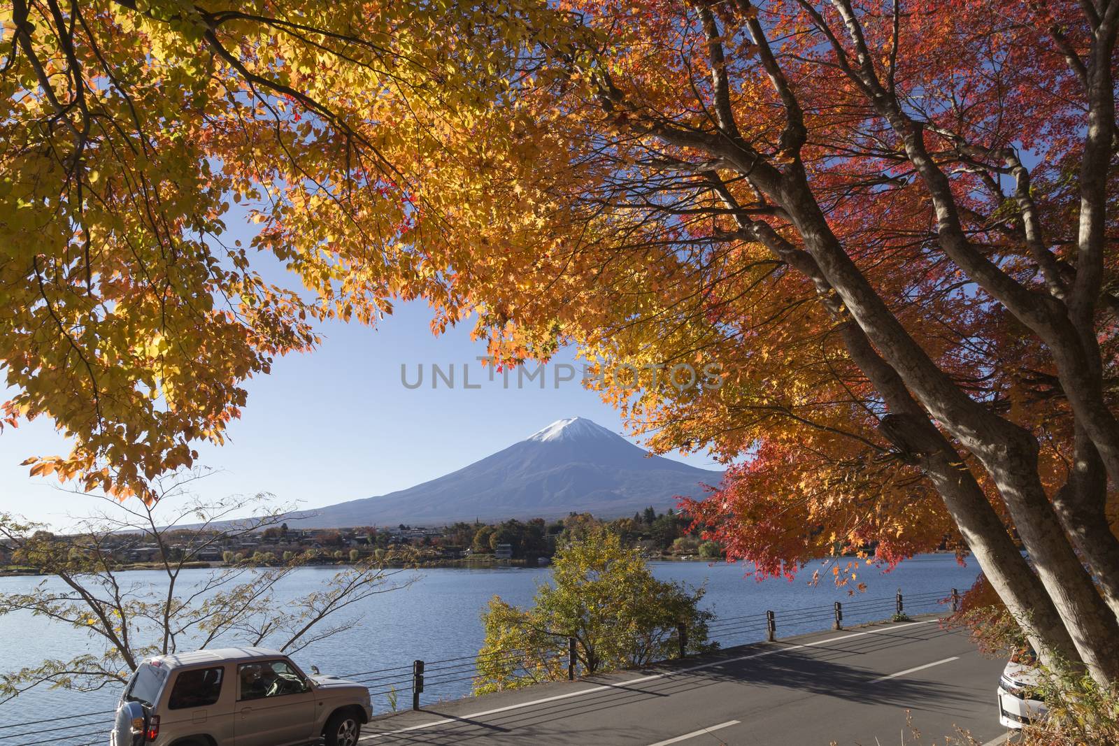 This photo was shot from the area around Mt.Fuji in Autumn. It is time to start snow cap on the top of Mt.Fuji and maple leaves change to autumn color. There are 5 lakes around Mt.Fuji.