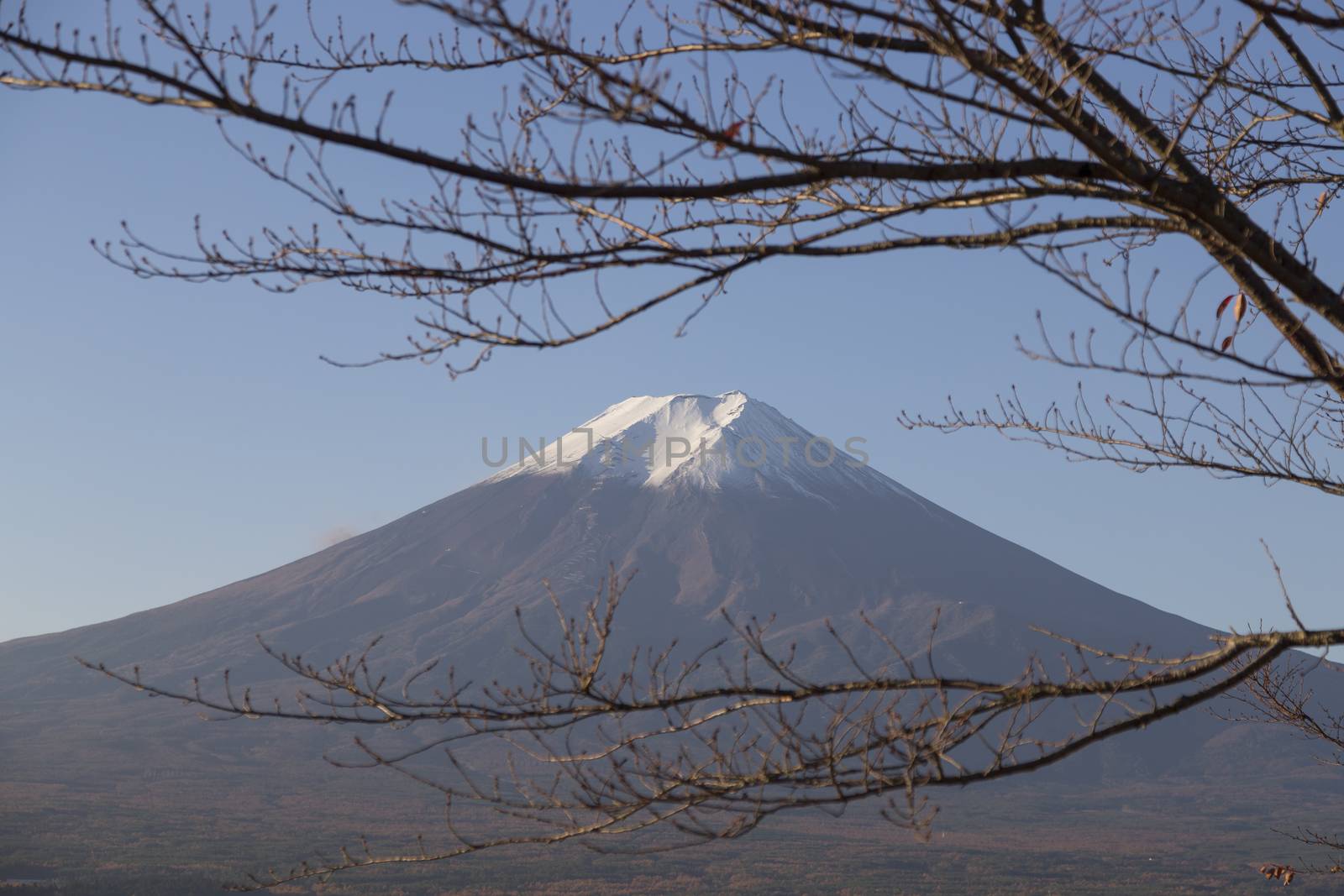 This photo was shot from the area around Mt.Fuji in Autumn. It is time to start snow cap on the top of Mt.Fuji. There are 5 lake around Mt.Fuji.