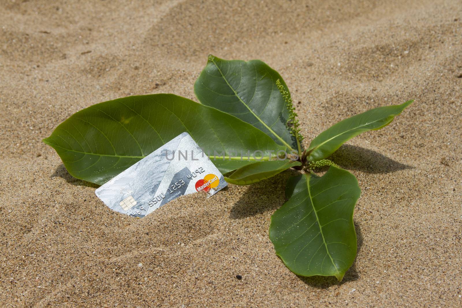 Credit card lying on the sand beach. India Goa by mcherevan