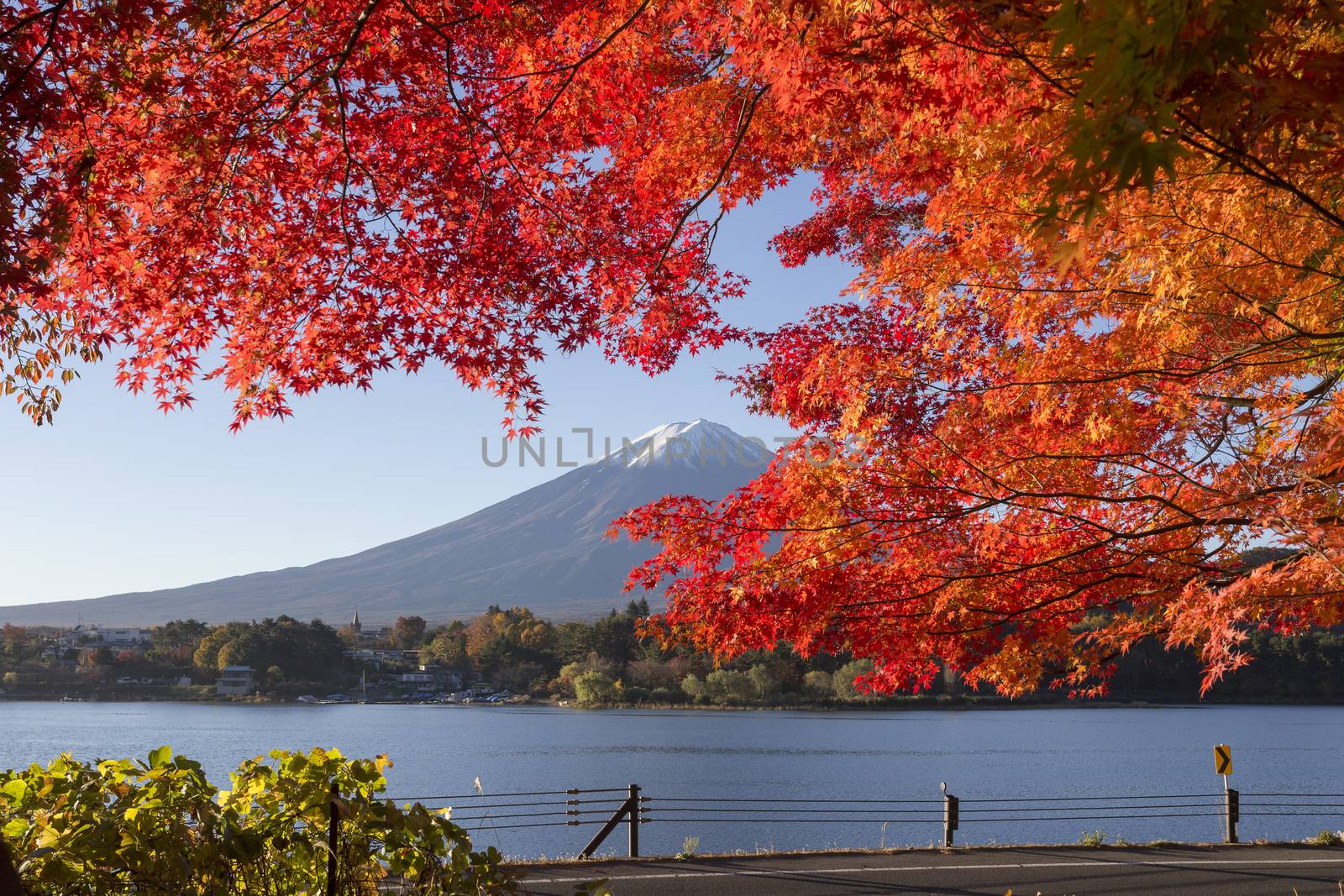This photo was shot from the area around Mt.Fuji in Autumn. It is time to start snow cap on the top of Mt.Fuji and maple leaves change to autumn color. There are 5 lakes around Mt.Fuji.