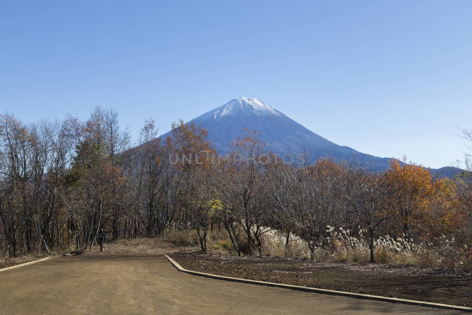 This photo was shot from the area around Mt.Fuji in Autumn. It is time to start snow cap on the top of Mt.Fuji. There are 5 lake around Mt.Fuji.