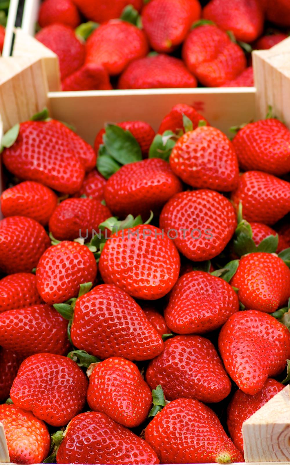 Heap of Big Ripe Strawberries in Wooden Market Trays closeup Outdoors. Focus in Foreground