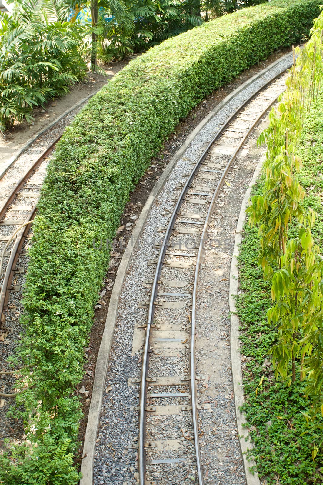 Curved of railway on right hand side between tree in garden.