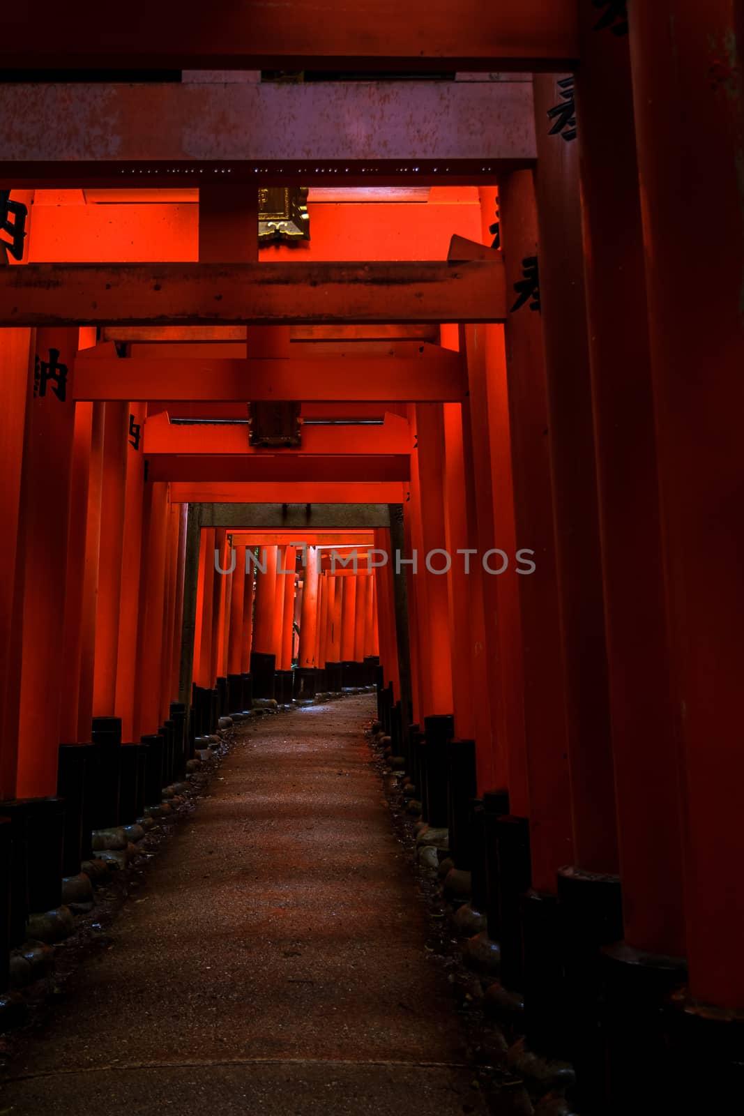 Fushimi Inari Shrine