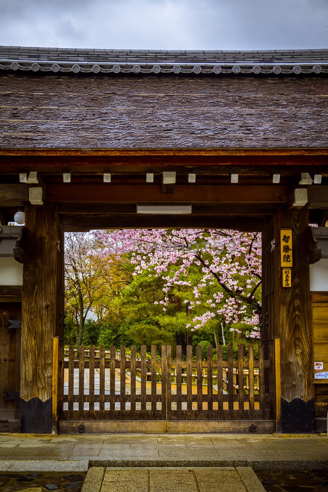 Japanese temple in Kyoto
