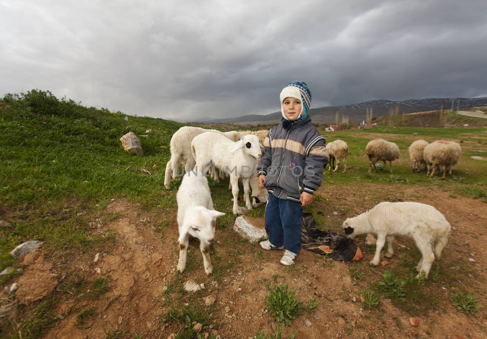 Shepherd Boy in Rural Anatolia  by Creatista