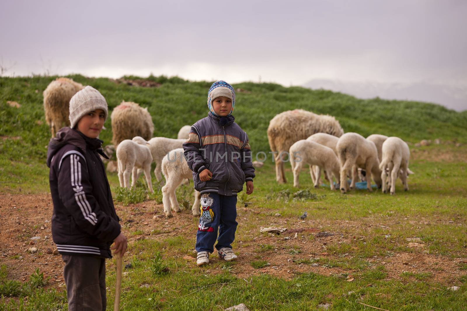 Young Shepherds with their Flock by Creatista