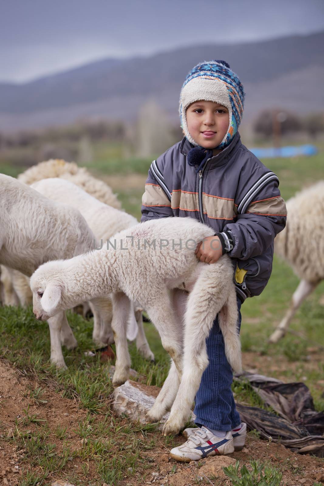 ANATOLIA, TURKEY APRIL 18: Unidentified young boy shepherd demonstrates his strength on April 18, 2012 in rural Anatolia, Turkey prior to Anzac Day.