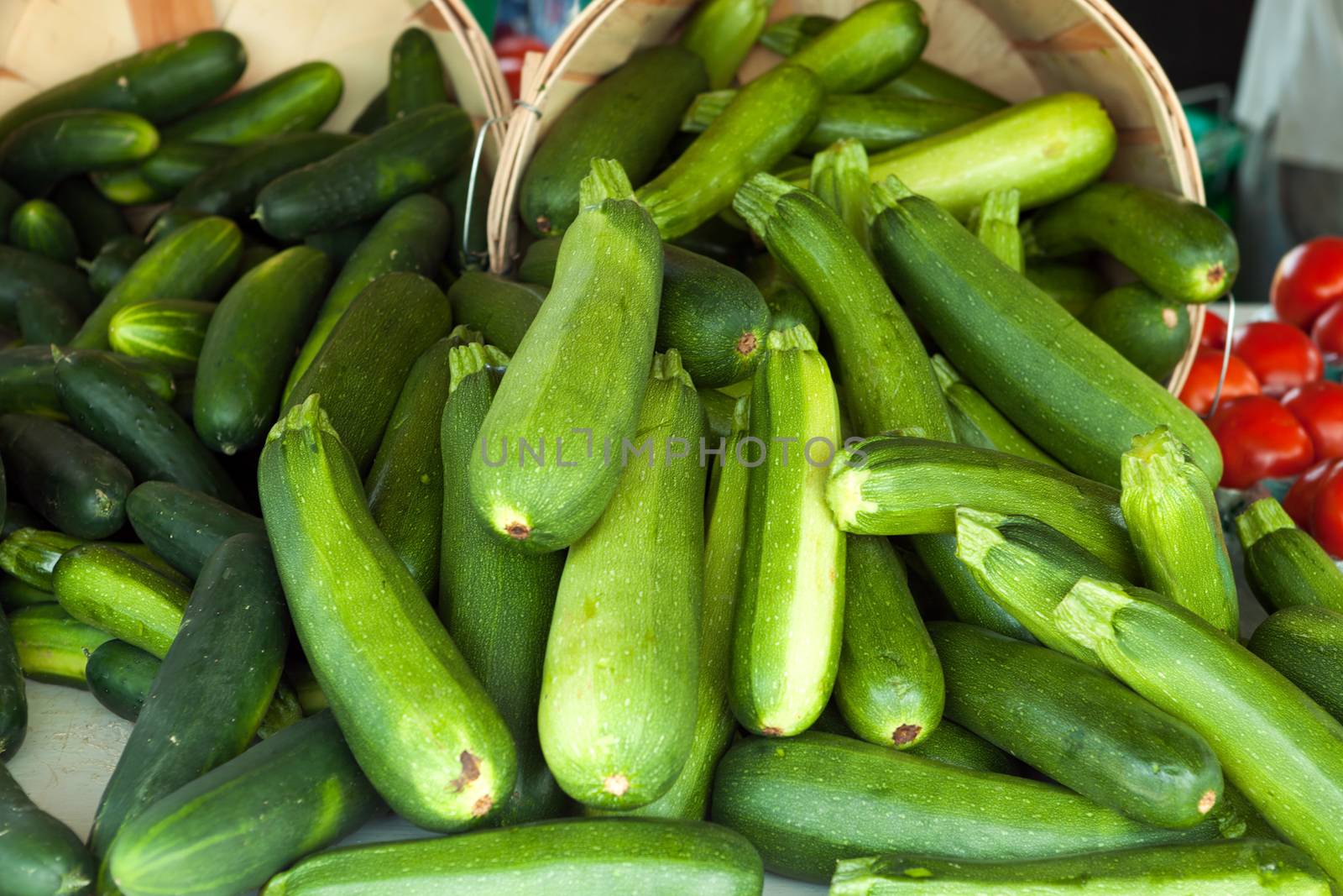 Green Zucchini Squash by graficallyminded