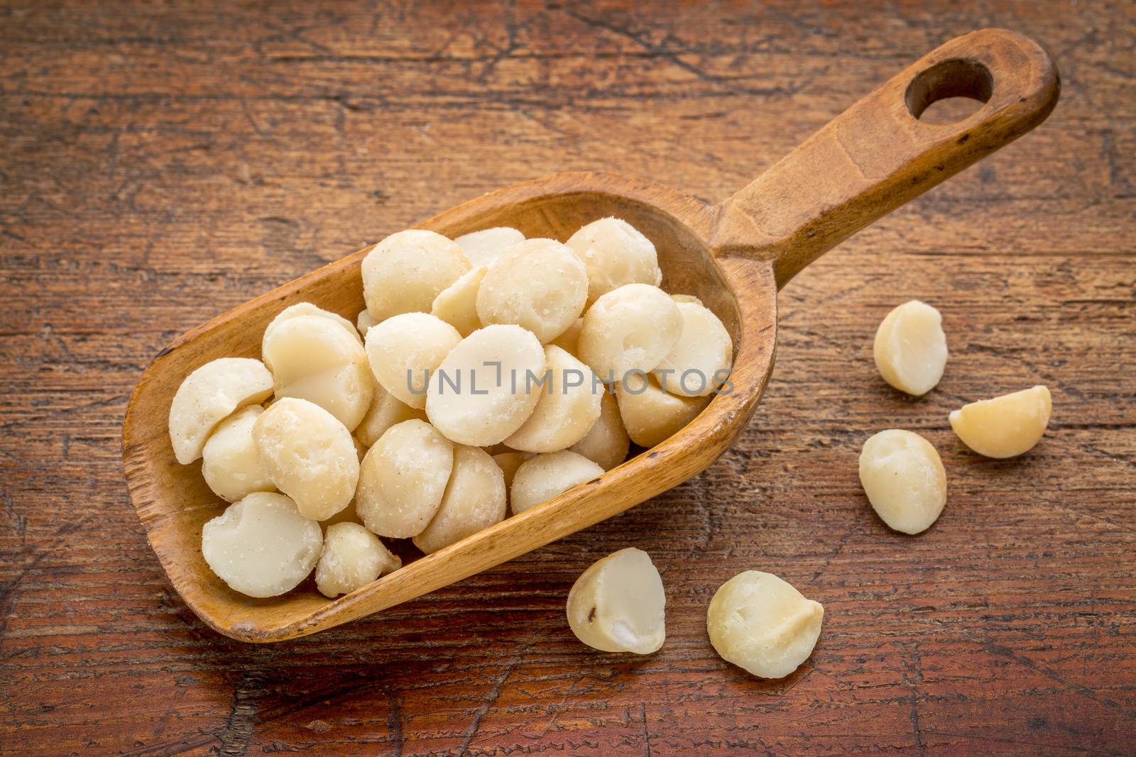 macadamia nuts on a rustic, wooden scoop against grunge wood